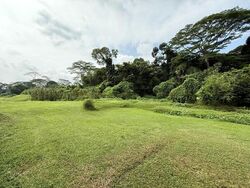 Springleaf Garden (D26), Semi-Detached #482003051